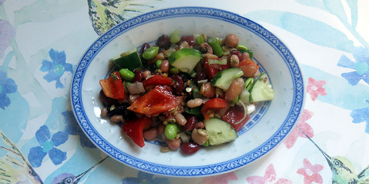 salade de légumineuses aux canneberges et graines de tournesol
